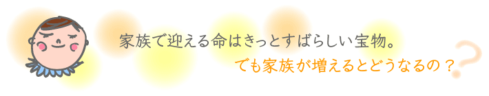 �Ƒ��Ō}���閽�͂����Ƃ��΂炵���󕨁B�ł��Ƒ���������Ƃǂ��Ȃ�́H